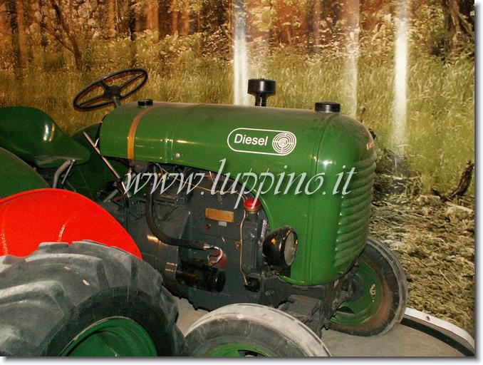 Sei già all'ultima foto